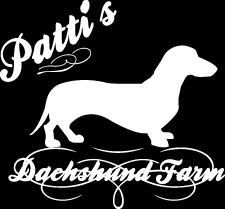 Check spelling or type a new query. Patti S Dachshund Farm Miniature Dachshund Doxie Puppies For Sale