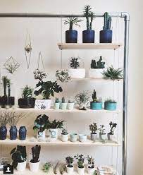 Plant Shelves With A Variety Of Different Plants Stacked Shelf Plants Rack Plant Shelves Hanging Plants Diy Indoor Plant Wall