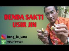 Tanaman pengusir jin yang pertama yaitu pohon bidara. 45 Ide Yang Saya Simpan Kekuatan Doa Kebugaran Pria Gambar Jatuh