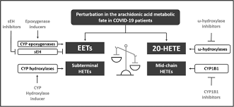 Targeting Arachidonic Acid Related Metabolites In Covid 19 Patients Potential Use Of Drug Loaded Nanoparticles Springerlink