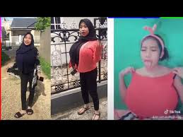 Home tags miftahul husna menikah. Download Tik Tok Miftahul Husna Yang Viral Mp3 Mp4 3gp Flv Download Lagu Mp3 Gratis