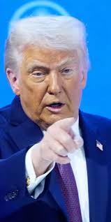 Pluskwy w areszcie śledczym. "Gdy zobaczyłem mojego klienta, byłem  wstrząśnięty"