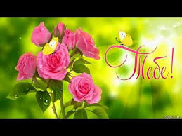 игорь ашуров все равно тебя люблю я скачать бесплатно Youtube Youtube Flowers Rose