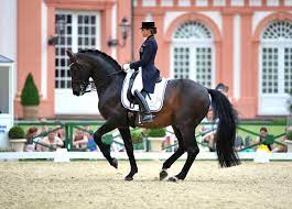 Reitmeisterin dorothee schneider gibt uns auf sehr anschauliche und ästhetische weise faszinierende einblicke in ihre. Dorothee Schneider And Silvano In Wiesbaden Horses Dressage Equestrian