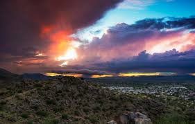 This hd wallpaper is about phoenix, arizona, cityscape, united states, skyline, night, original wallpaper dimensions is 1920x1080px, file size is 370.29kb. Phoenix By Nela Dunato Phoenix Firebird 600x900 Wallpaper Teahub Io