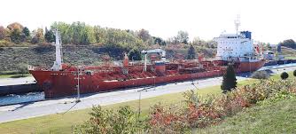 Image result for owl ship