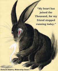 My Heart Has Joined The Thousand For My Friend Stopped Running Today Richard Adams Watership Down Watership Down Bunny Art Watership Down Book