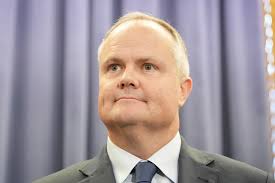 Monkey Mia dolphins attacked by sharks, leaving serious wounds that shock  locals