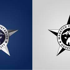 Envision to establish a knowledgeable, functional and proactive citizen's arm against abusive and erring policemen. Create A Logo For A Civil Law Enforcement Agency Logo Design Contest 99designs