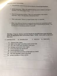 Solved Practice Essay Questions 1 List And Briefly Explain Chegg Com