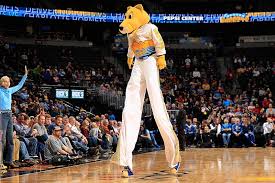 The nba team's mascot, rocky, reportedly suffered a dizzy spell and passed out while being lowered from the nuggets mascot was just lowered from the ceiling limp and then just laid down on the floor. Best Of Rocky Gallery Denver Nuggets