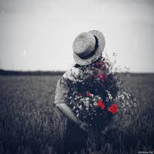 Beautiful images for whatsapp dp with flower nature love animal images photo wallpaper pictures pics hd download share with friend. Whatsapp Dp For Girls Of Flower Hindibate Com