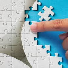 Amazon music stream millions of songs: Toilet Paper Hoarding 1000 Piece Jigsaw Puzzle S Feldman Housewares