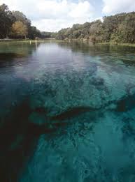 Jul 24, 2020 · located in the ocala national forest, alexander springs is popular with outdoor adventurers. List Of Major Springs In Florida Wikipedia