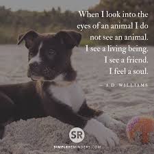 When I Look Into The Eyes Of An Animal I Do Not See An Animal When I Look Into The Eyes Of An Animal I Do Not See An Animal I See A Living Being I See A Friend I Feel A Animal Love Quotes Well