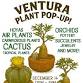 Ventura Plant Pop-Up! event in Ventura, CA