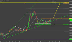 Stay up to date with the latest maidsafecoin price movements and forum discussion. Maidsafecoin Tradingview