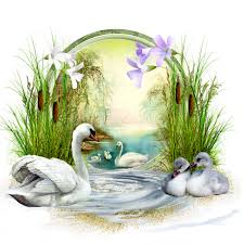 Pin By Tc Hale Cetin On Boyutlu Kagit Rolyef Swans Art Bird Art Birds Painting