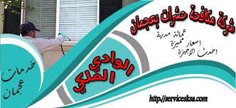 شركة مكافحة حشرات فى عجمان Insect Control Ajman Insects