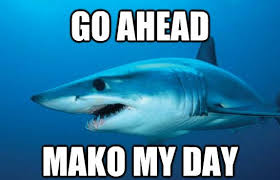 Rd.com knowledge facts you might think that this is a trick science trivia question. 6 Bar Trivia Questions For Shark Week Say Know To Trivia