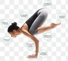 Huge collection, amazing choice, 100+ million high quality, affordable rf and rm images. Bakasana Images Bakasana Transparent Png Free Download