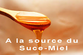Liste Des Desserts Traditionnels En Provence Provence 7