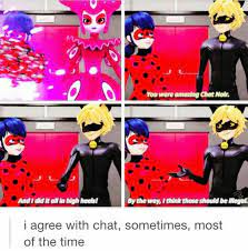 Pin By Mili On Miraculous Ladybug Miraculous Ladybug Memes Miraculous Ladybug Comic Miraculous Ladybug Funny