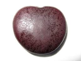 Image result for Entada gigas