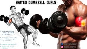 The seated dumbbell biceps curl increases the strength and size of the biceps and forearms. How To Do Seated Dumbbell Bicep Curls