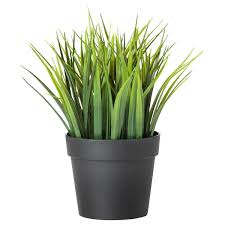 Fejka In Outdoor Grass Artificial Potted Plant Height 21 Cm Ikea Artificial Potted Plants Artificial Plants Ikea Plants