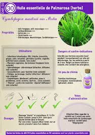 Huile Essentielle Menthe Poivree Huile Essentielle De Menthe Huile Essentielle Menthe Poivree Huiles Essentielles