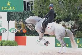 Olympics dressage legend charlotte dujardin will represent team gb at tokyo 2020. Charlotte Dujardin Dressage Masterclass In New York