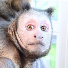 When you realize it's already Sunday 😒😂 Who's ready for the week? What  are your plans? 🙈❤️