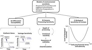 Enter the password to open this pdf file. Sensory Processing Sensitivity In The Context Of Environmental Sensitivity A Critical Review And Development Of Research Agenda Sciencedirect