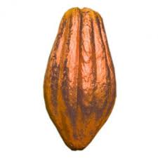 Check spelling or type a new query. Everything You Need To Know About The Cocoa Tree