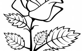 27 Contoh Gambar Bunga Cantik Kumpulan Contoh Soal 2 Mewarnai Flora Mawar 3 Cara Menggambar Sketsa Bunga Yang Simple Dan Mudah Di 2020 Bunga Menggambar Bunga Gambar