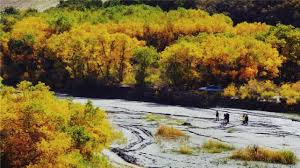 阿克塞多坝沟胡杨峡景区游玩攻略-多坝沟胡杨峡 景区门票多少钱/价格表-团购票价预定优惠-景点地址在哪里/图片介绍/参观预约/旅游游览顺序攻略及注意事项/营业时间-【携程攻略】