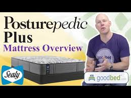 Sealy Mattress Reviews Goodbed Com