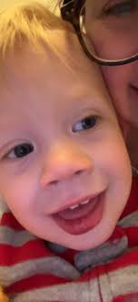 Affordable yellow jacket removal in Brunswick Hills?