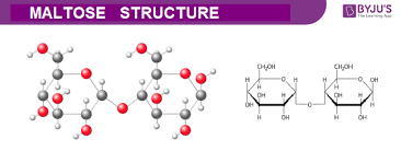 Maltose Structure In 2020 Chemical Equation Solubility Photosynthesis