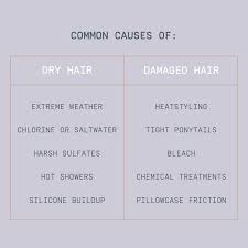 When your hair falls excessively from your scalp, it can cause baldness. Prose How Can You Tell If Your Hair Is Dry Or Damaged Facebook