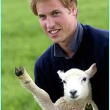 Stream Will Lamb music