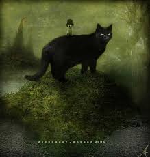 alexander jansson iskusstvo chernyh koshek kot illyustracii