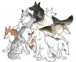 The Story Of A Wolf Publish With Glogster Cartoon Wolf Wolf Drawing Anime Wolf