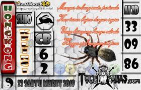 2d 2d Hongkong Pasti Tembus 3d 4d 4d Hari Ini Keluar 4d Singapore Live Agen Togel Agen Togel Terpercaya Aki Wilson Angka Bocora Singapura Maret Mainan