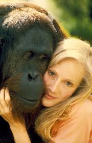 Clint Eastwood and Manis the Orangutan bonding