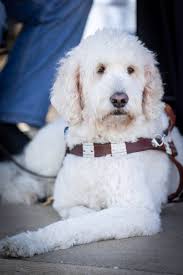 Full Sail University