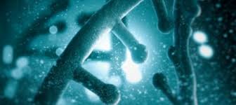 Synthetic biology interdisciplinary research centre & openplant (cambridge) department of plant sciences university of cambridge downing street. Spotlight On Synthetic Biology