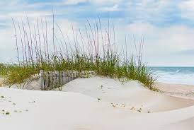 Driving directions & drive times from myrtle beach to raleigh can be found further down the page. 10 Top Rated Beaches Near Wilmington Nc Planetware