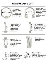 Pin By Gal Resheff On Jewelcrafting Ear Piercing Diagram Piercing Chart Body Jewelry Piercing